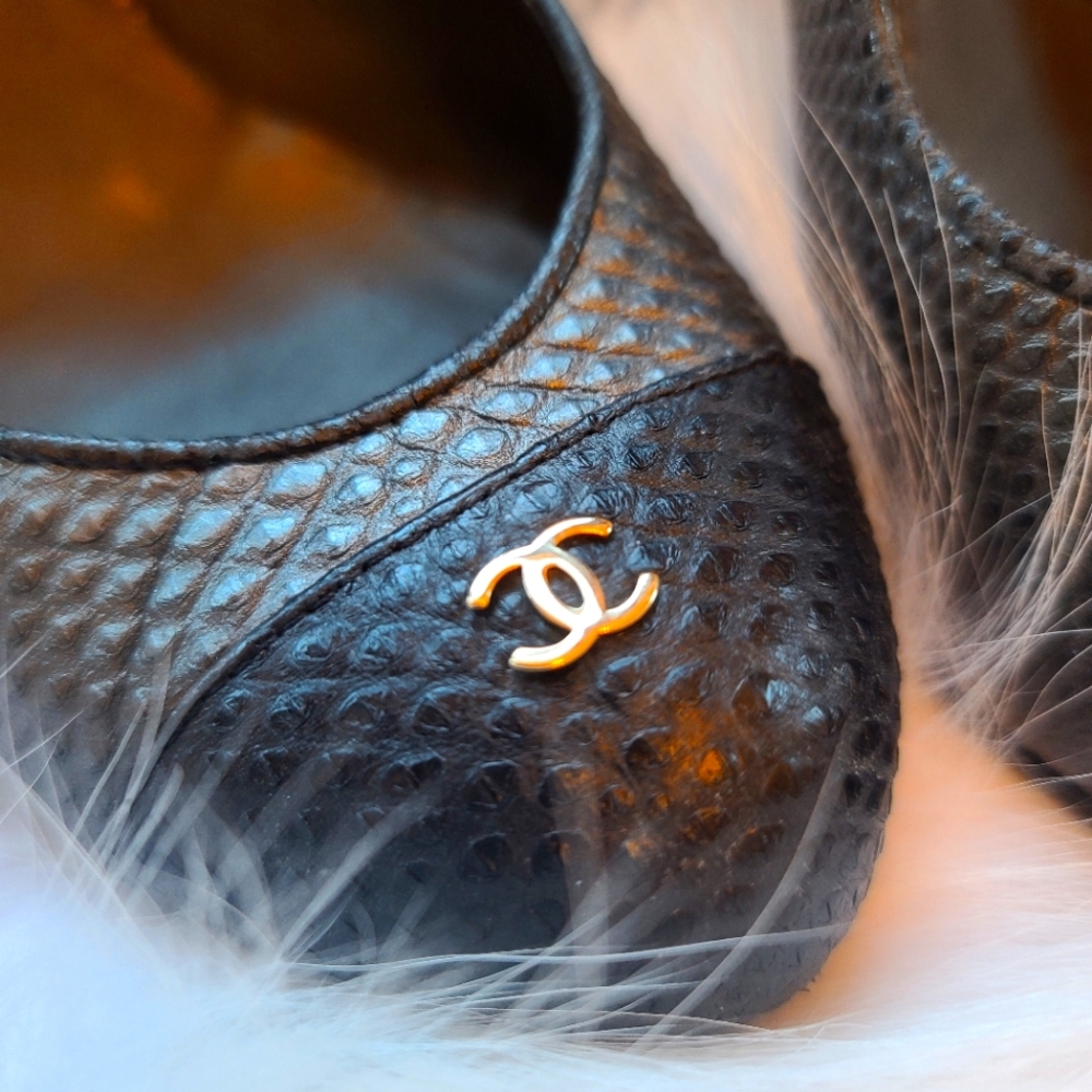 Chanel Exotic Skin Heels (They don't make anything with real snake skin anymore)